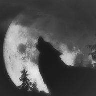 𝔗ℌ𝔘𝔑𝔇𝔈𝔎さんのアイコン画像
