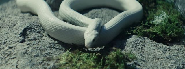 めろん.さんの壁紙画像