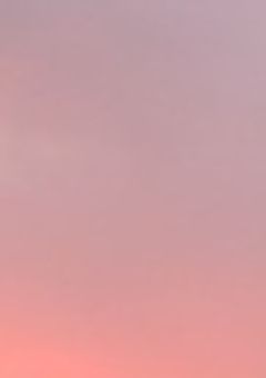 お雑談部屋でございましてよ