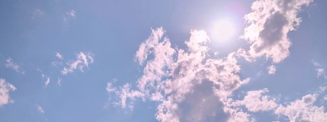ゆきうさぎさんの壁紙画像