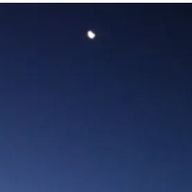 🍵さんのアイコン画像