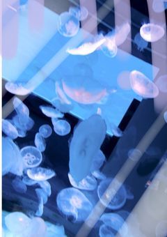 『 　融解度数 で 夢 を 見よう ． 』