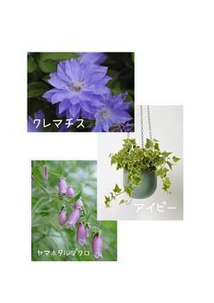 堕ちてゆく僕ら