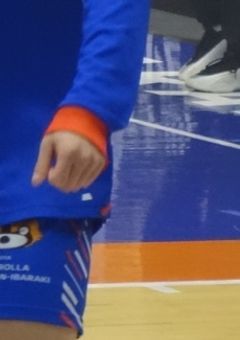 # 末っ子ピットブルが恋したのは末っ子トイプー .