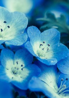 # 好感度が見えるようになった件。