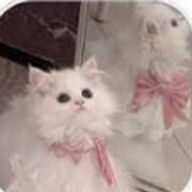 てう˙˚ʚ✞ɞ˚˙さんのアイコン画像