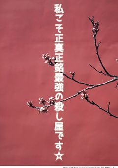 私こそが正真正銘の最強の殺し屋です☆