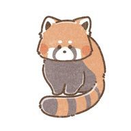 あらいぐまさんのアイコン画像