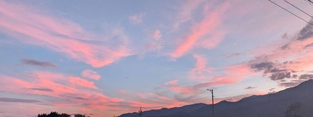 はゆさんの壁紙画像