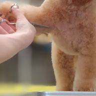 ちぃたω（指定難病免疫系/スポットライト鈍くなります↯↯）さんのアイコン画像