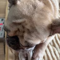 あげもちさんのアイコン画像