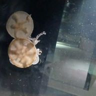 Yさんのアイコン画像