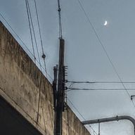 露檀さんのアイコン画像