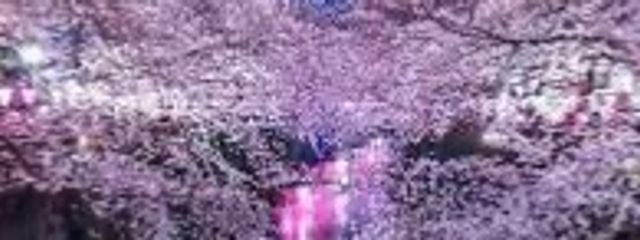 逃げるが勝ち＠暇人の助#先輩(星空らい)とペア画中さんの壁紙画像