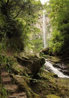 ෆ‪ 写真📸 ෆ‪