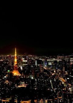 平凡な私が謎の殺し屋に溺愛されてます！？