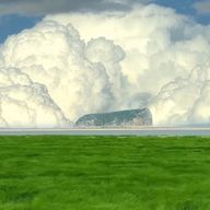 なすびさんのアイコン画像