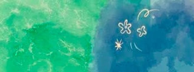 Raimuさんの壁紙画像