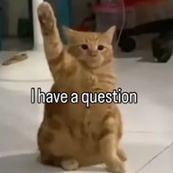 🍒さんのアイコン画像