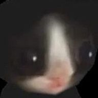 めりいさんのアイコン画像