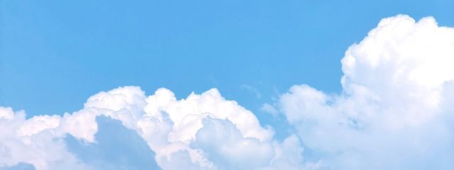 　え  り  な   さんの壁紙画像