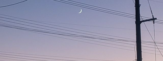 YoZoRAさんの壁紙画像