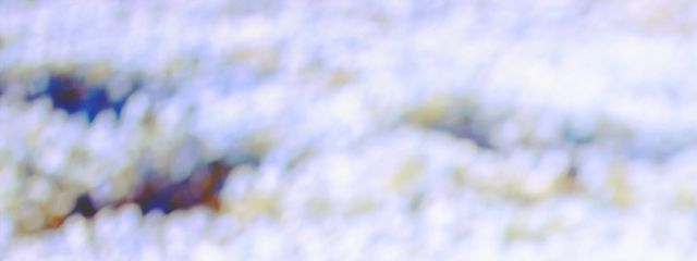 あやめ @ ゆあちゃんとペア画さんの壁紙画像