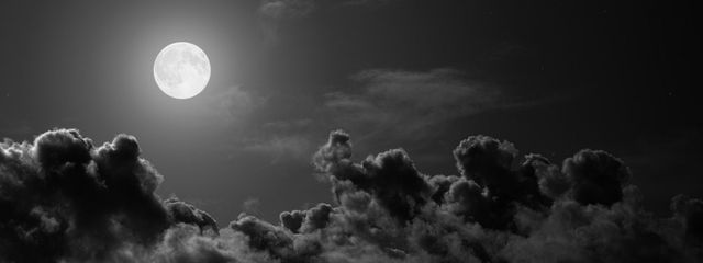 Rui_1193さんの壁紙画像