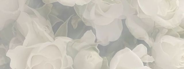Shinjuさんの壁紙画像