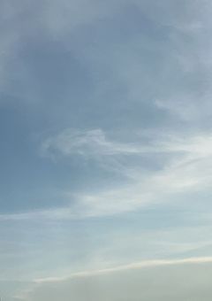 転生したら愛されたってマジ！？（番外編）