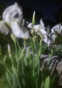 病みすぎ部屋 (更新終了)