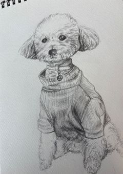 イラスト部屋‪🎨ᝰ✍︎*.ﾟ
