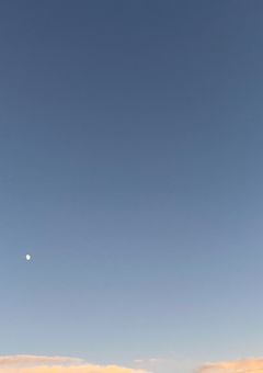 紅白雑草の防音室