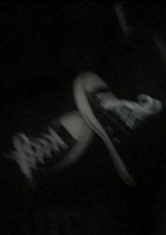 【依頼】絵師様募集