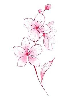 我 々 国 と 無 敵 少 女 .