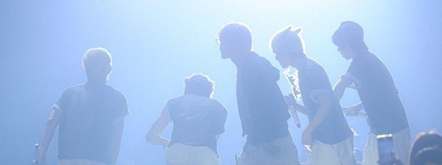 マッシュルームさんの壁紙画像