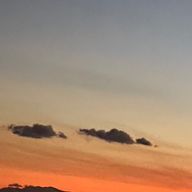 南累葉さんのアイコン画像