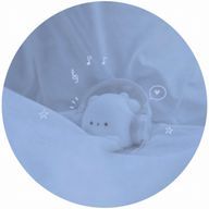 迷子のグミ🍬さんのアイコン画像