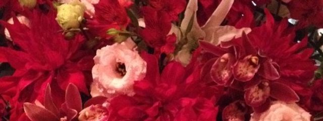 もち　もちおさんの壁紙画像