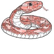 お茶漬け    (転生しました)さんのアイコン画像