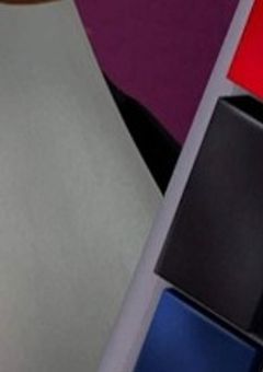 【双子のアザラシとペンギン…】