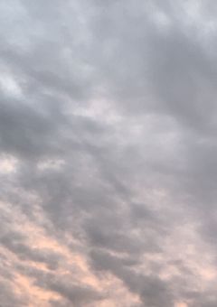 騎士の兄は私の嫌いなお医者さんです、、