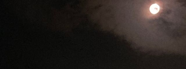 アメ#77さんの壁紙画像