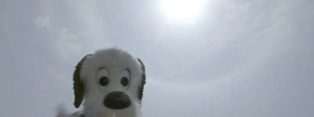 🙇‍♀️🙇‍♂️さんの壁紙画像