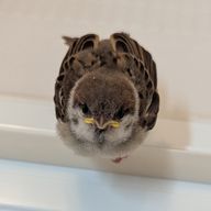 cukeさんのアイコン画像