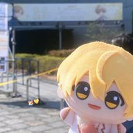 かめさんのアイコン画像