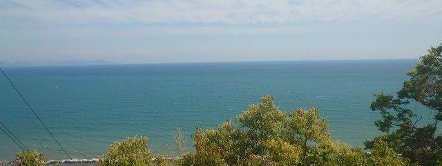 たつきさんの壁紙画像