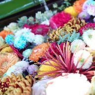 たつきさんのアイコン画像