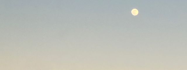 mさんの壁紙画像