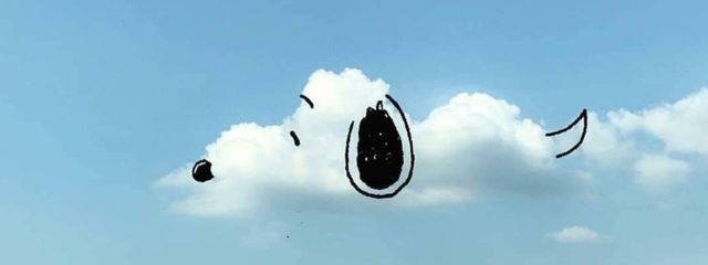 poa.poaさんの壁紙画像